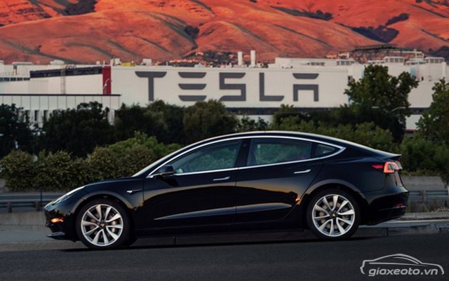 Xe điện là phần không thể thiếu giúp thành tích cổ phiếu Tesla tăng mạnh