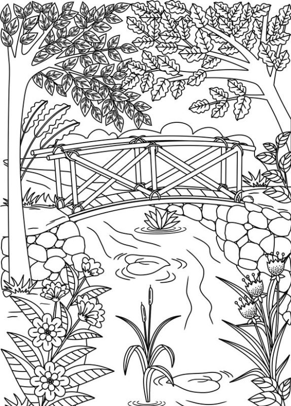 hình cây cầu tập tô màu cho bé gái 8 tuổi 