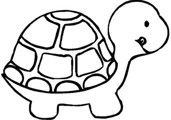Tô màu con ốc sên  How To Draw Snail  Coloring Snail  bé tô màu con vật   177  YouTube
