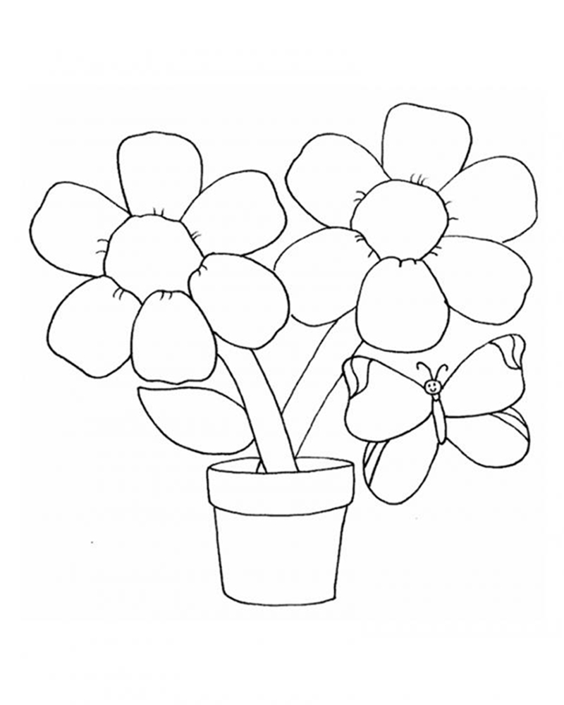 Cách vẽ hoa Tulip  Dạy Vẽ
